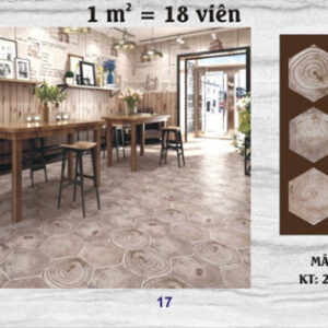 GẠCH LÓT SÀN ĐỒNG TÂM - WD01